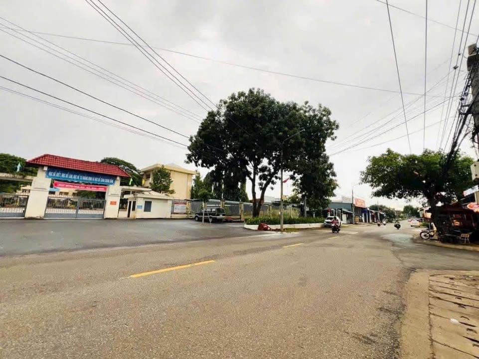 Mặt tiền Kinh doanh Đường số 6, Nghĩa Thành, Châu Đức 490m² giá 7 tỷ - Cơ hội đầu tư sinh lời!