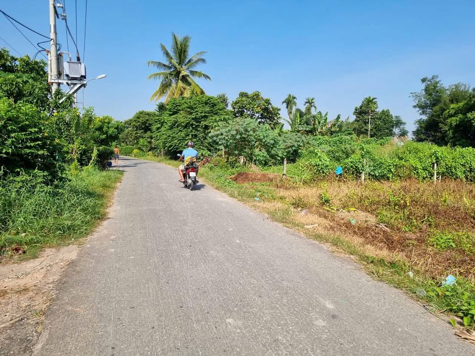 Đất mặt tiền Nguyễn Thị Thạo, xã Tân An Hội, 140m² - Giá chỉ 1.75 tỷ thương lượng!