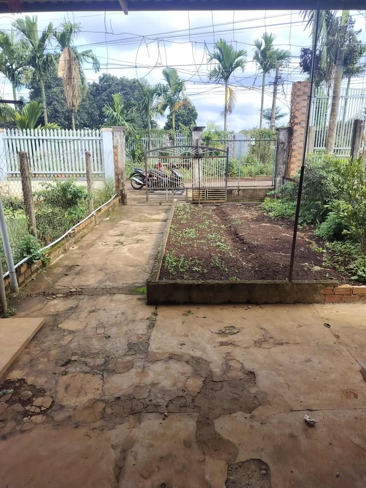 Đất nền đường Trần Kiên, Cư M'gar, Đắk Lắk 175m² giá 1.2 tỷ - Đầu tư sinh lời lý tưởng!