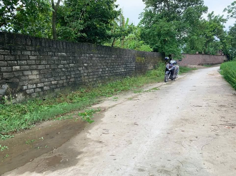 Đất nền Danh Thắng, Hiệp Hòa 96.3m² giá 700 triệu - Đầu tư sinh lời ngay!