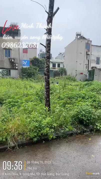 Đất nền Yên Dũng 124m² giá 3.3 tỷ - Đầu tư sinh lời ngay!