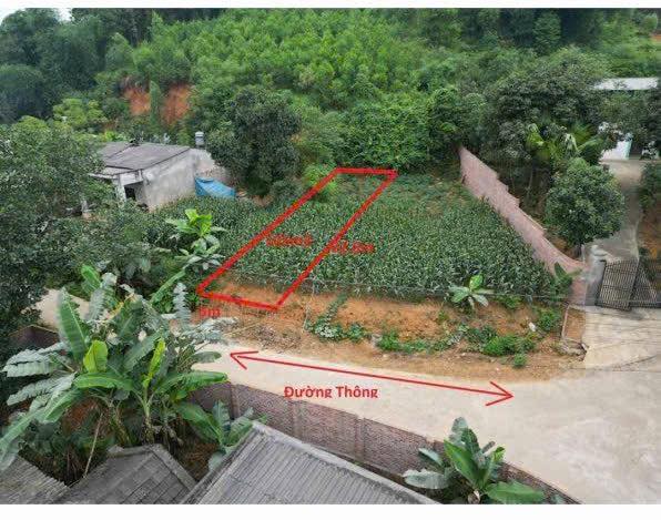 Đất nền Ninh Dân - Thanh Ba 105m² giá chỉ 600 triệu - Tiềm năng sinh lời cao!