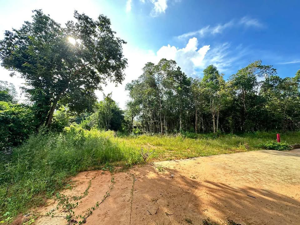 Đất ở Dương Tơ, Phú Quốc 600m² giá 4.8 tỷ - Gần biển và sân bay!