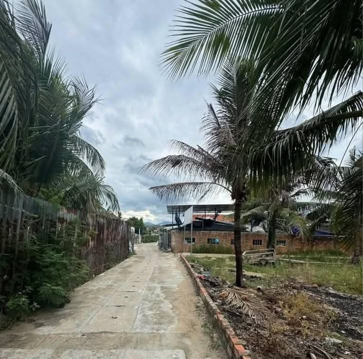 Đất thổ cư Tân Đức Tây, Vạn Lương 600m² giá 2.4 tỷ - Nhanh tay sở hữu!