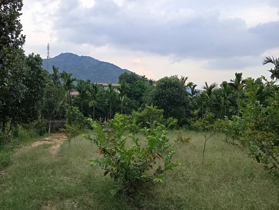 Đất thổ cư thôn 3 Kim Phú 162m² giá thỏa thuận - Mặt tiền đường bê tông 4m, thuận tiện đi lại!