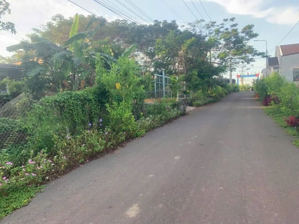 Đất nền Vĩnh An 820m² giá 1.45 tỷ - Cơ hội đầu tư hấp dẫn!