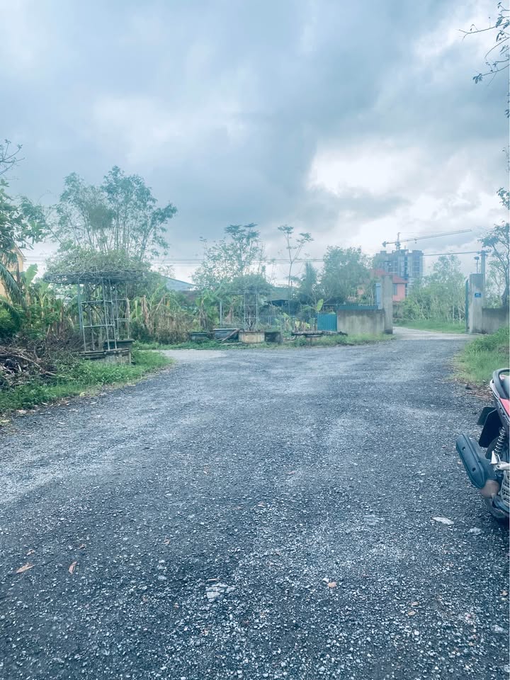 Đất nền tại khu phố Nam Liên, Nghi Liên 87m² giá 2 tỷ - Cơ hội đầu tư tuyệt vời!