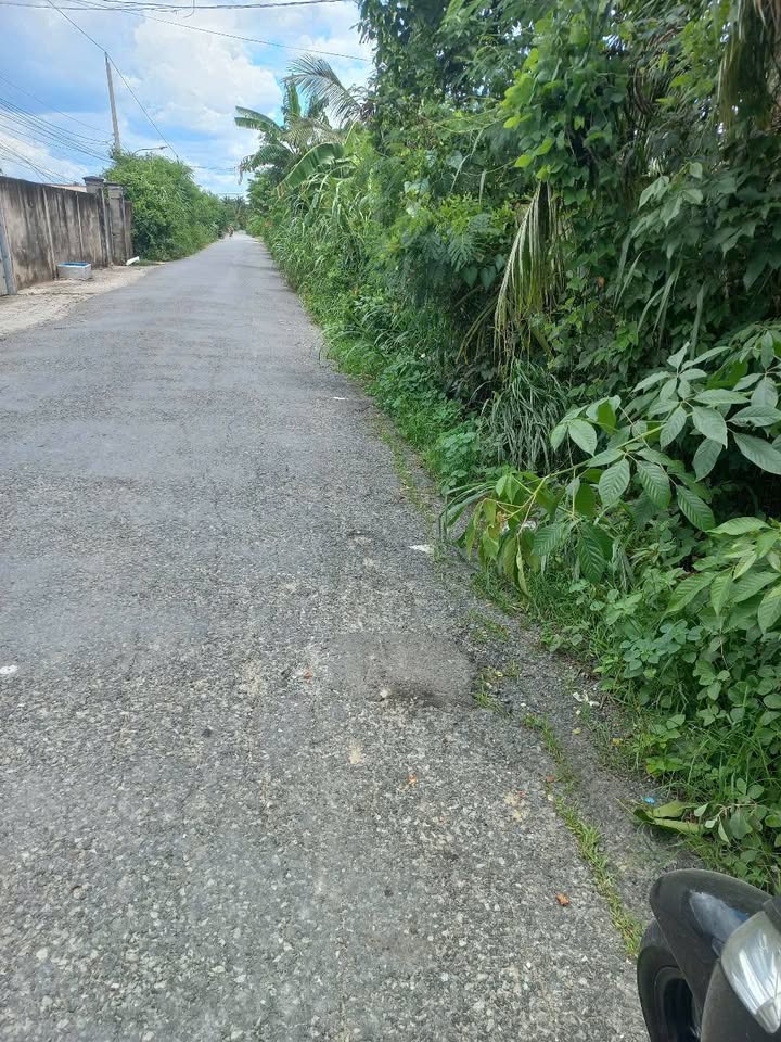 Đất nền mặt tiền đường nhựa Mỹ Phong, Mỹ Tho 203m² giá 1.45 tỷ - Đầu tư sinh lời nhanh chóng!