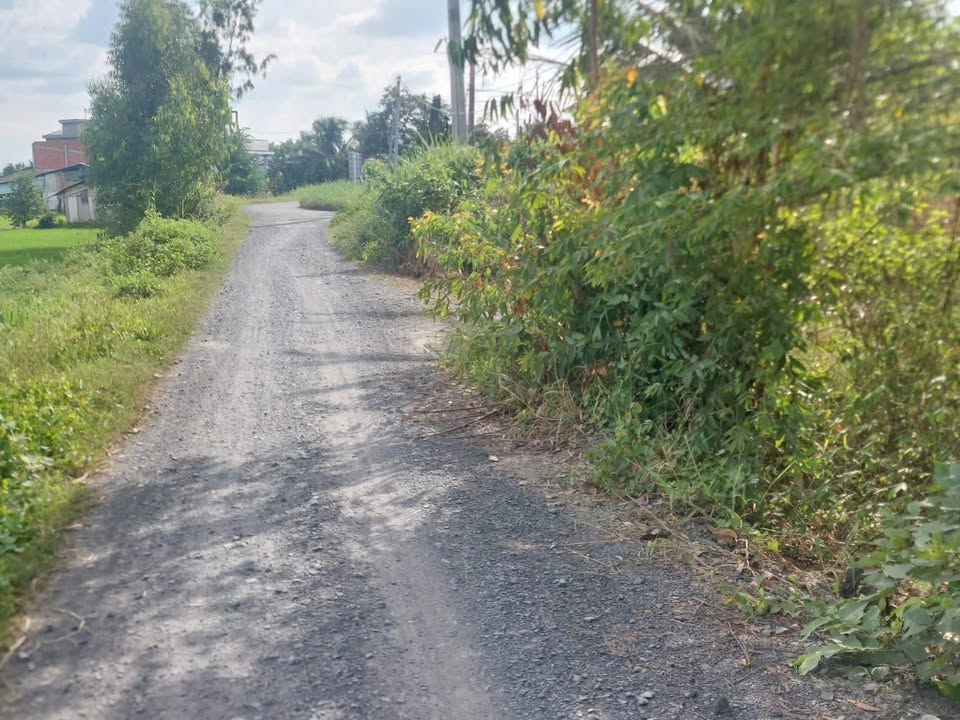 Đất lúa 3 công 2 tại Thủ Thừa, Long An - Giá chỉ 960 triệu, đường thông thoáng!