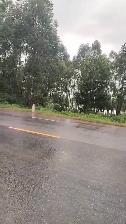 Đất mặt đường QL 31 xã Phượng Sơn 160m² giá 3 tỷ - Cơ hội đầu tư hấp dẫn!