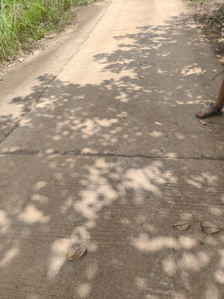 Đất nông nghiệp Đắk Gằn 27.000m² giá chỉ 1.1 tỷ - Kinh doanh cà phê ngay mặt đường!