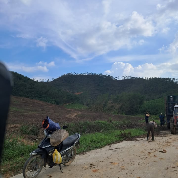 Đất Farm 5ha tại Nghĩa Lộc, Nghệ An - Sổ hồng đầy đủ, giá thỏa thuận!