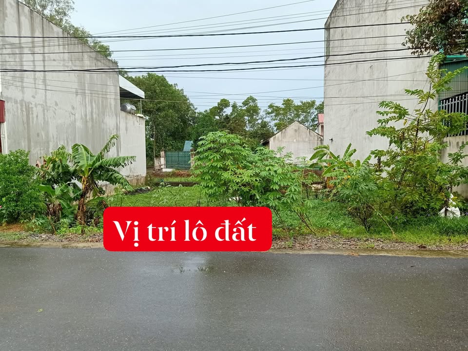 Đất nền Quán Lào Yên Định 100m² giá 1.2 tỷ - Hướng Đông mát mẻ!