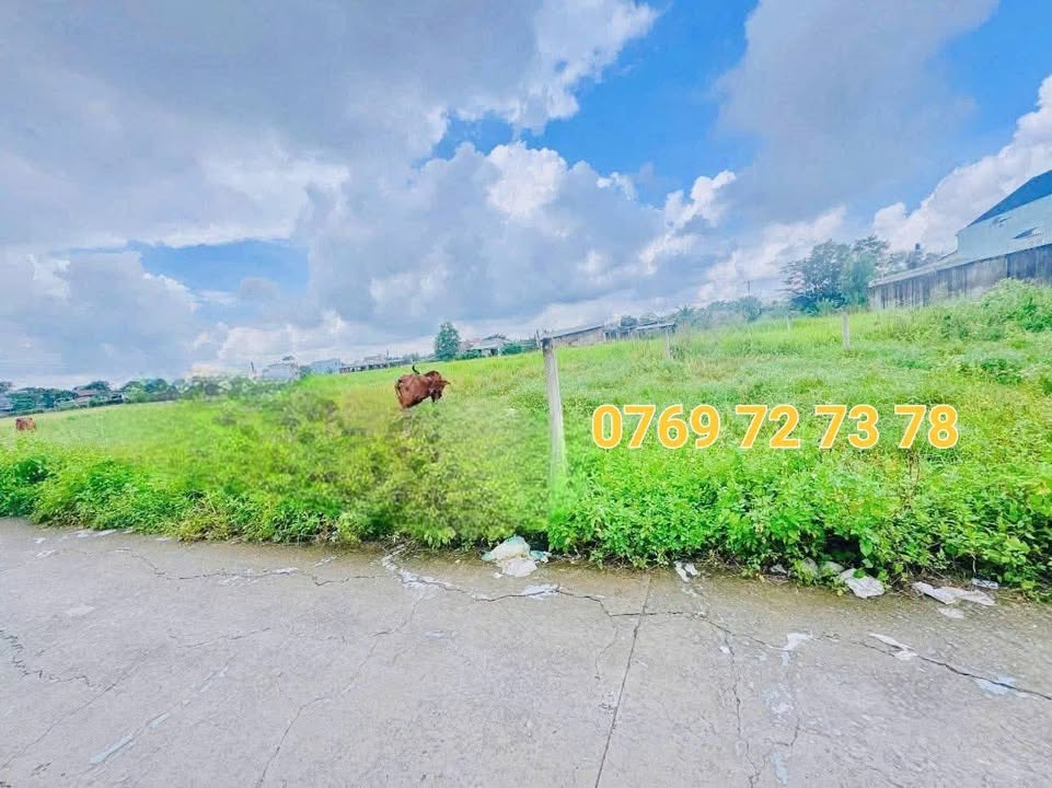 Đất nền 10x31m gần chợ Đức Hòa - Giá chỉ 1.5 tỷ, đầu tư sinh lời ngay!