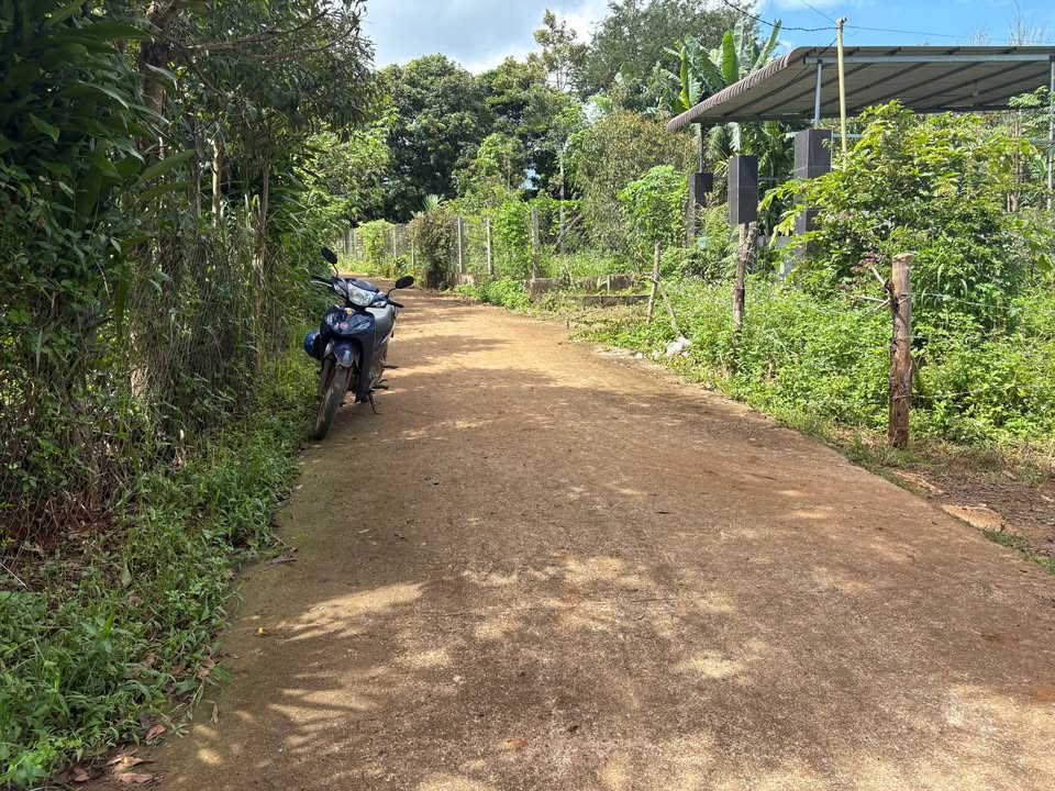 Đất thổ cư Hòa Phú Chư Păh 500m² giá 300 triệu - Cơ hội đầu tư hấp dẫn!