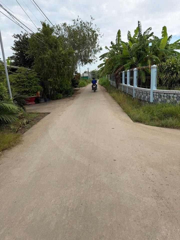 Đất thổ cư 1000m² tại ấp 5, xã Hòa Phú, Châu Thành - Giá 5.5 tỷ, thương lượng!