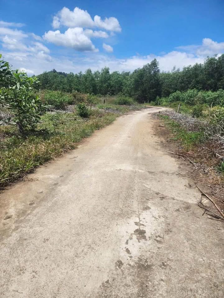 Đất Suối Thơm Khánh Đông 633,2m² giá 269 triệu - Đường bê tông ô tô né nhau