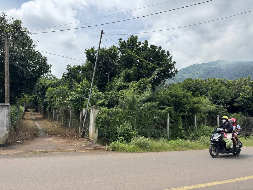 Đất nền 2 mặt tiền Thành Công, Xuân Trường 1870m² - Giá rẻ đầu tư tuyệt vời!