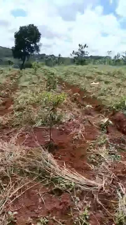 Đất nền 2.3 héc tại Làng Dao, Đăk R'tih, Tuy Đức - Giá chỉ 1.6 tỷ