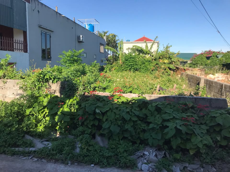 Đất nền trung tâm xã Nam Trung, Tiền Hải 140m² giá 800 triệu - Sổ đỏ chính chủ, đầu tư sinh lời!