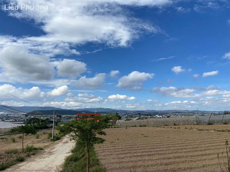 Đất nền đẹp 200m² Thị trấn Thạnh Mỹ chỉ 2,2 tỷ - Cơ hội đầu tư tuyệt vời!