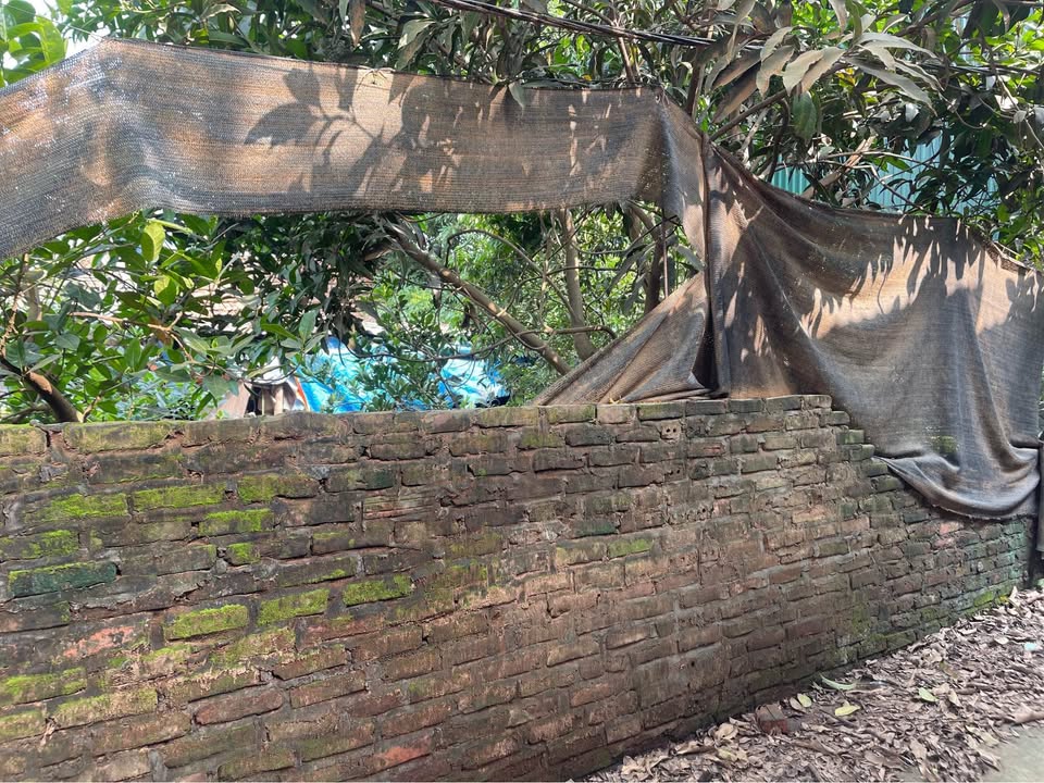 Đất nền Nhạn, Đông Anh 465m² - Sổ hồng chính chủ, sang tên ngay!