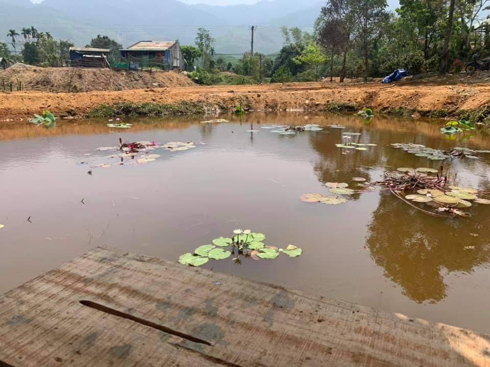 Đất nền Quốc lộ 14G Hòa Vang 4800m² giá 3 tỷ - Vị trí đẹp, cơ hội đầu tư sinh lời!