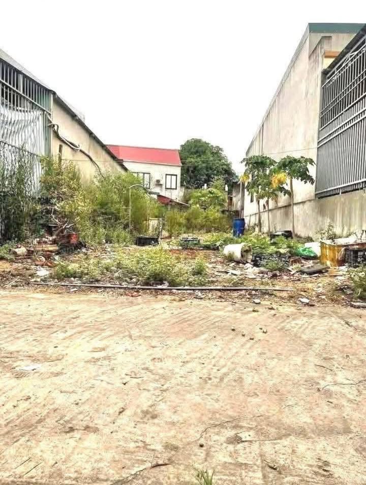 Đất nền đẹp tại Ngõ 20 Tôn Đức Thắng, Đồng Hới - Giá chỉ 1.4 tỷ!