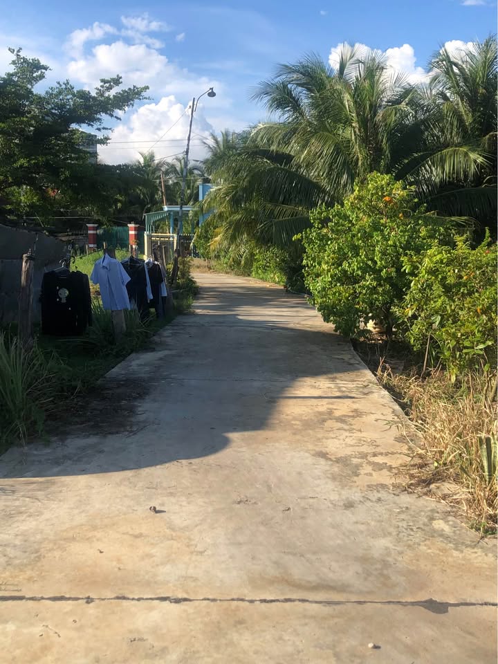 Đất nền Tiến Lợi Phan Thiết 385m² giá 2.5 tỷ - Mặt tiền đường bê tông rộng rãi!