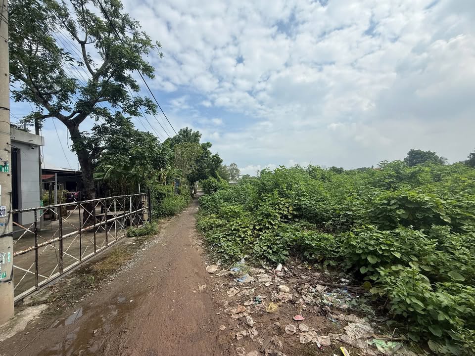 Đất nền Xuân Thới Sơn Hóc Môn 110m² giá 2 tỷ - Cơ hội đầu tư hiếm có!