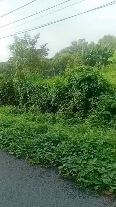 Đất nền mặt tiền xã Phước Vĩnh An, Củ Chi 765m² - Sổ đỏ chính chủ, giá tốt!