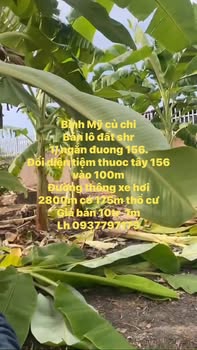 Đất nền Bình Mỹ Củ Chi 2800m² giá 28 tỷ - Sổ đỏ chính chủ, đường thông rộng rãi!