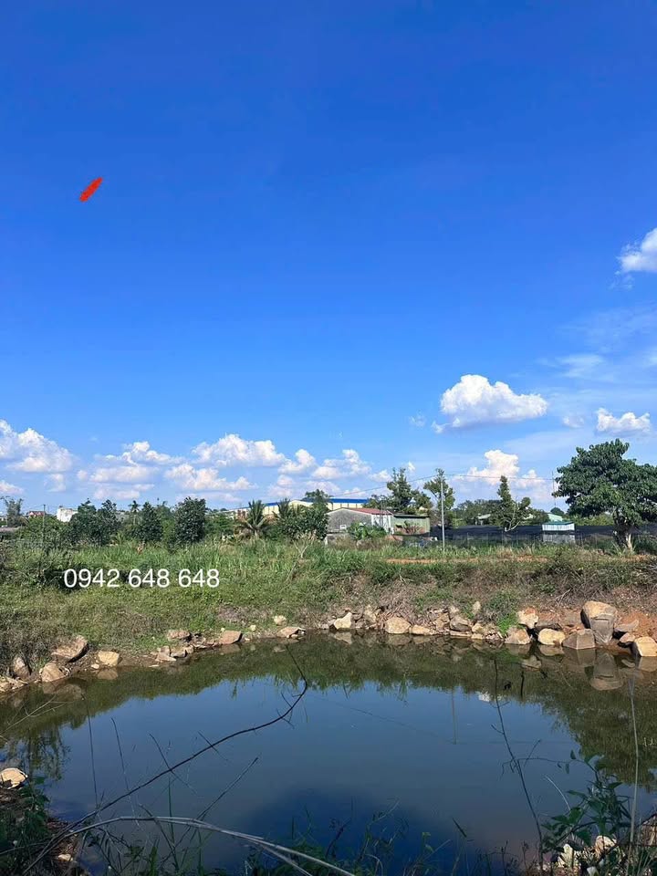 Đất nền 4050m² tại Kiến Thành, Đắk Nông - Chỉ 1.05 tỷ - Cơ hội đầu tư hấp dẫn!