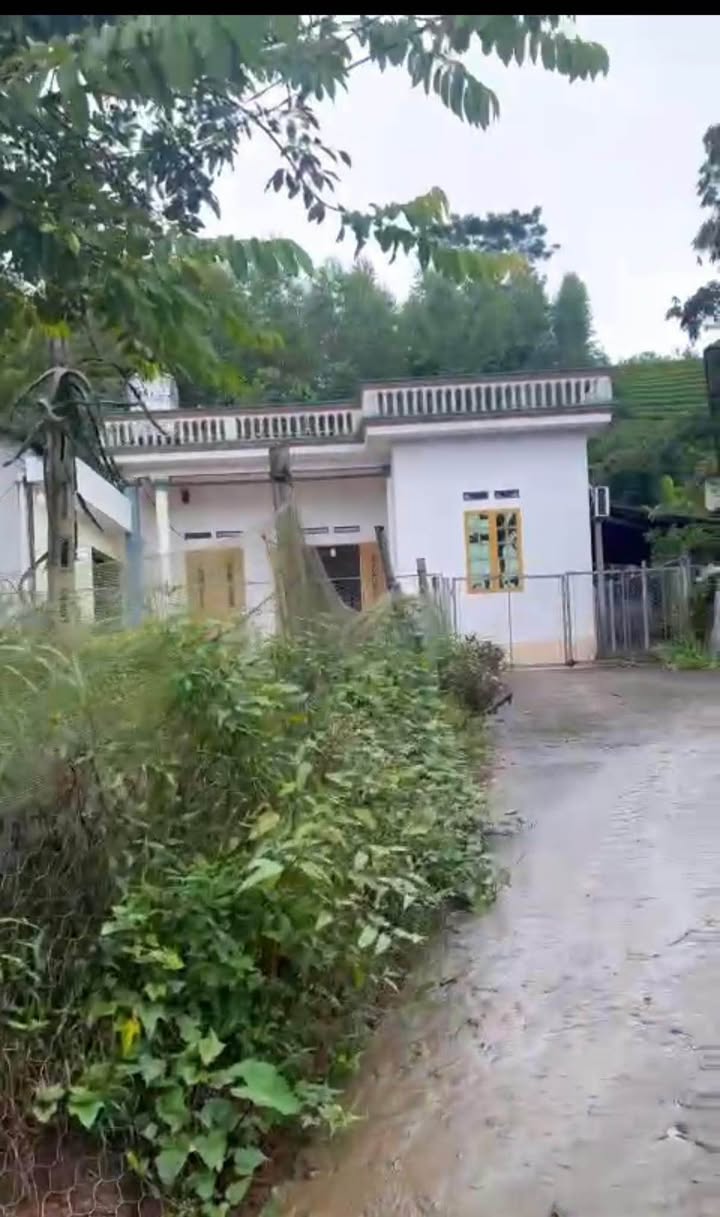 Đất thổ cư 1000m² tại Tân Linh, Đại Từ - Giá chỉ 500 triệu!