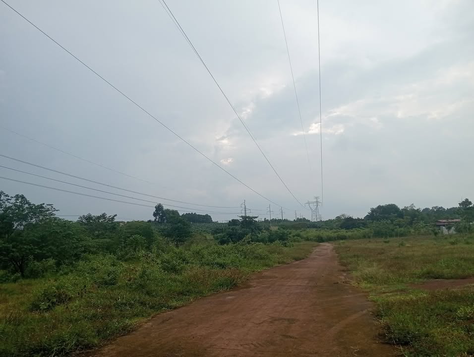 Đất nông nghiệp 3367m² xã Hưng Thịnh Trảng Bom giá 430 triệu - Cơ hội đầu tư hấp dẫn!