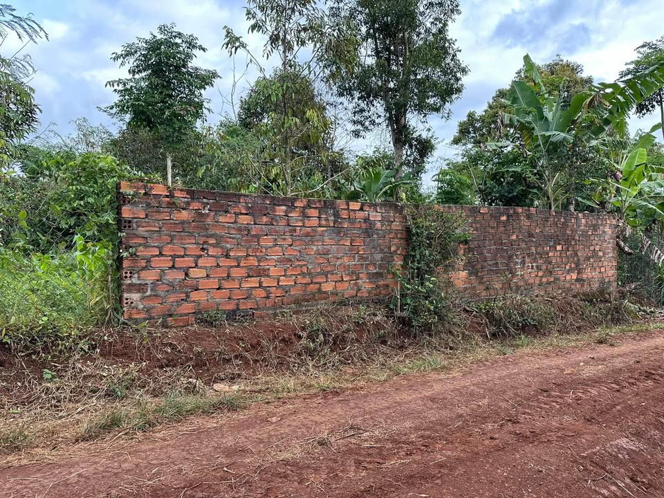 Đất nền Ea Drông 330m² giá 260 triệu - Cơ hội đầu tư hấp dẫn!