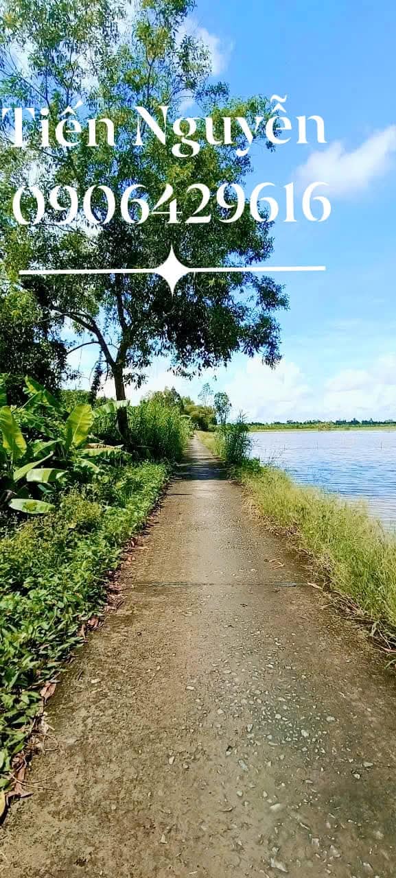 Đất nông nghiệp Trường Thắng, Thới Lai 2040m² giá 800 triệu - Cơ hội đầu tư tuyệt vời!