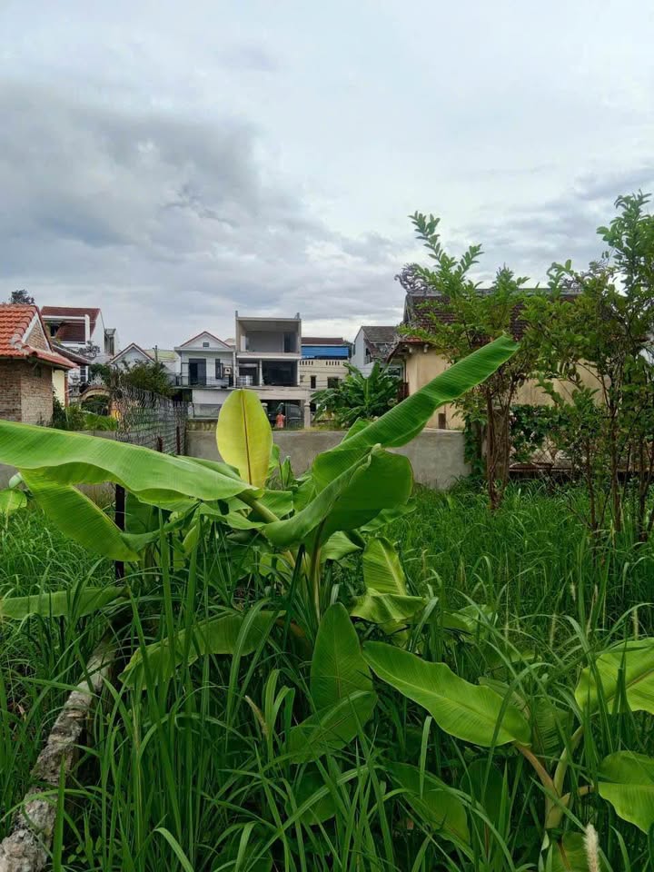 Nhà riêng Phú Thượng 215m² giá 1.2 tỷ - Pháp lý giấy tay, thương lượng tốt!