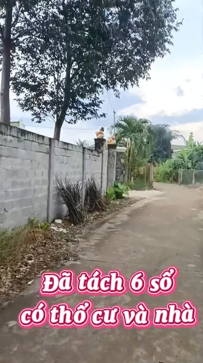 Đất nền Xuân Phú, Xuân Lộc 1090m² giá 4.5 tỷ - Sổ đỏ chính chủ, đầu tư sinh lời!