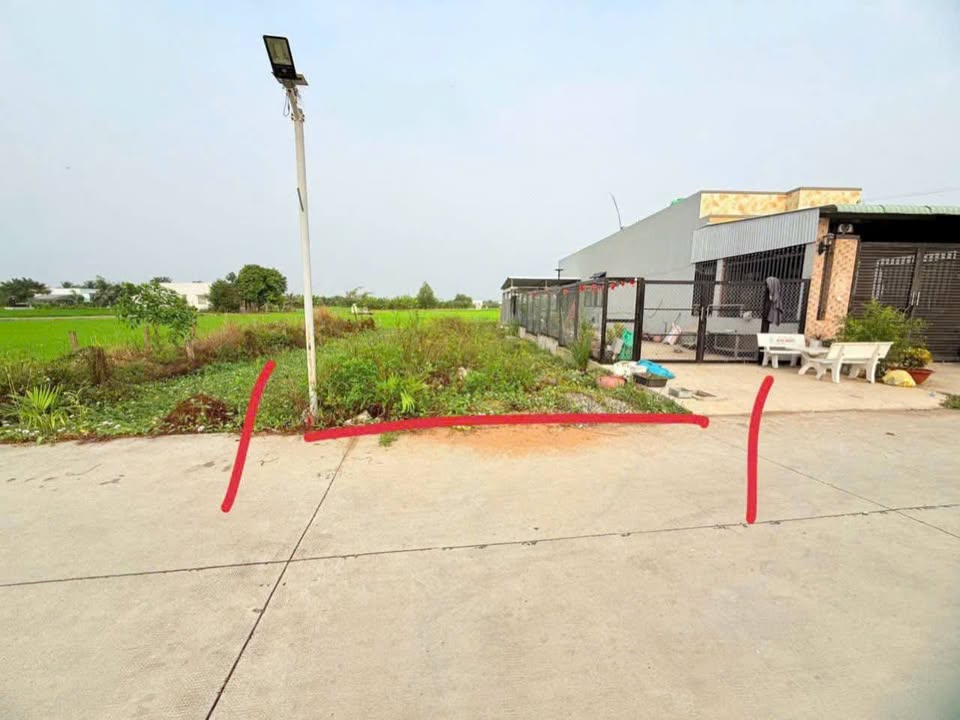 Bán lô đất thổ cư 135m² Bình Trinh Đông, Tân Trụ - Giá chỉ 599 triệu VND!