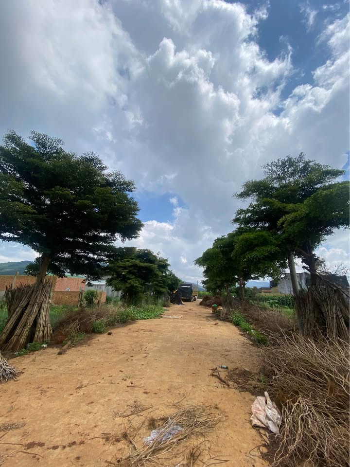 Đất thổ cư 100m² tại thôn An Hiệp, Đức Trọng, giá chỉ 2 tỷ - Cơ hội đầu tư hấp dẫn!