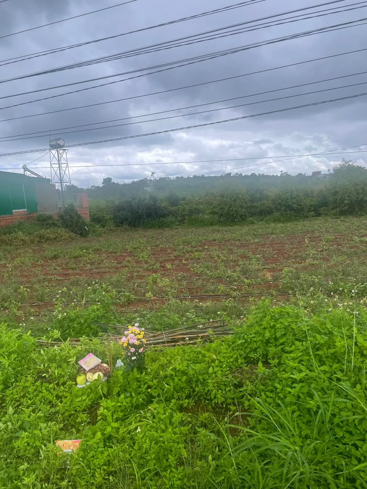 Đất thổ cư 400m² xã Liên Hà, Lâm Hà - Giá 1.3 tỷ, thương lượng dễ dàng!