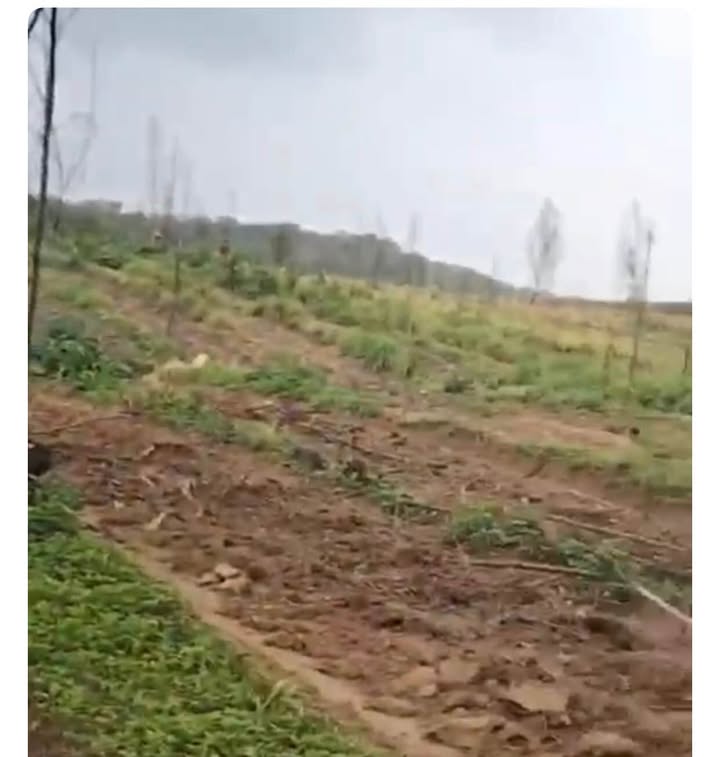 Đất nông nghiệp Suối Kiết Tánh Linh 75ha giá 17.5 tỷ - Đầu tư sinh lời ngay!