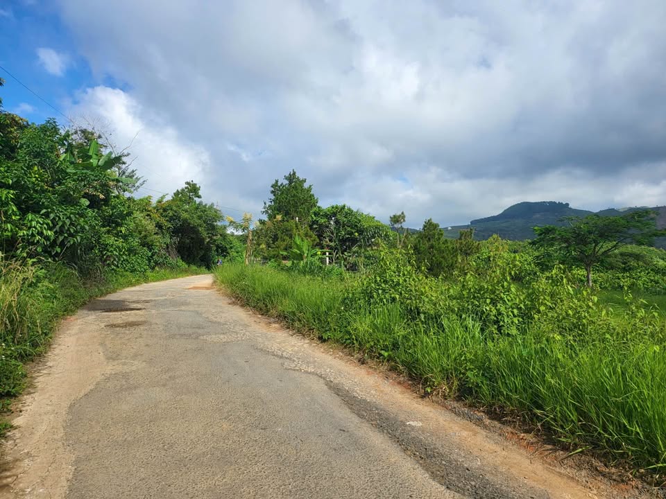 Đất nền Bảo Lộc 5000m² giá 6.5 tỷ - Đầu tư sinh lời tuyệt vời!