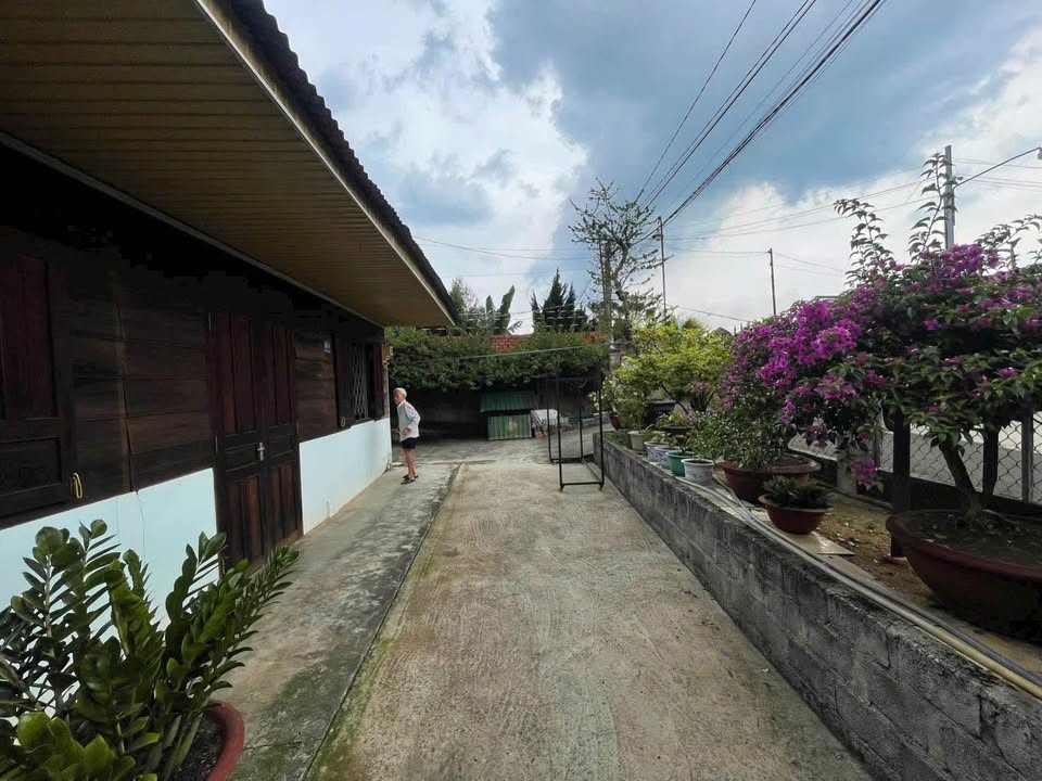Nhà gỗ hẻm Phan Chu Trinh, Bảo Lộc 411m² giá 3.2 tỷ - Sân vườn rộng rãi