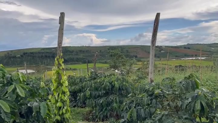 Đất nền Đắk Thốt, Đắk Nông 24m² giá 2.6 tỷ - Sổ đỏ chính chủ