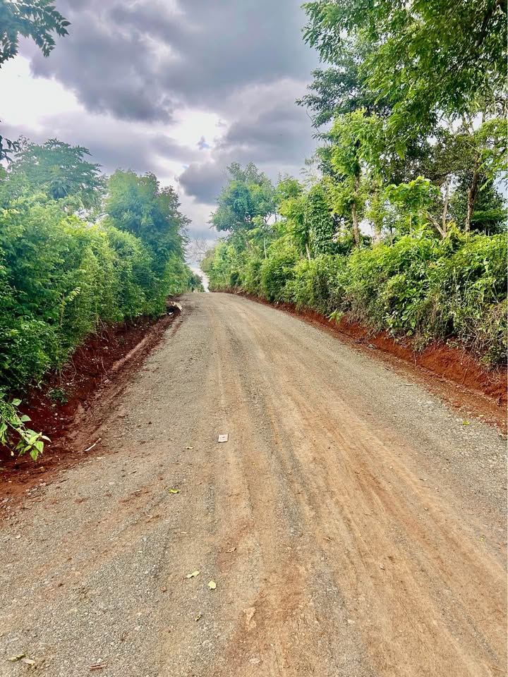 Đất nền vườn 500m² tại phường Ea Kao, Đắk Lắk - Giá chỉ từ 600 triệu!