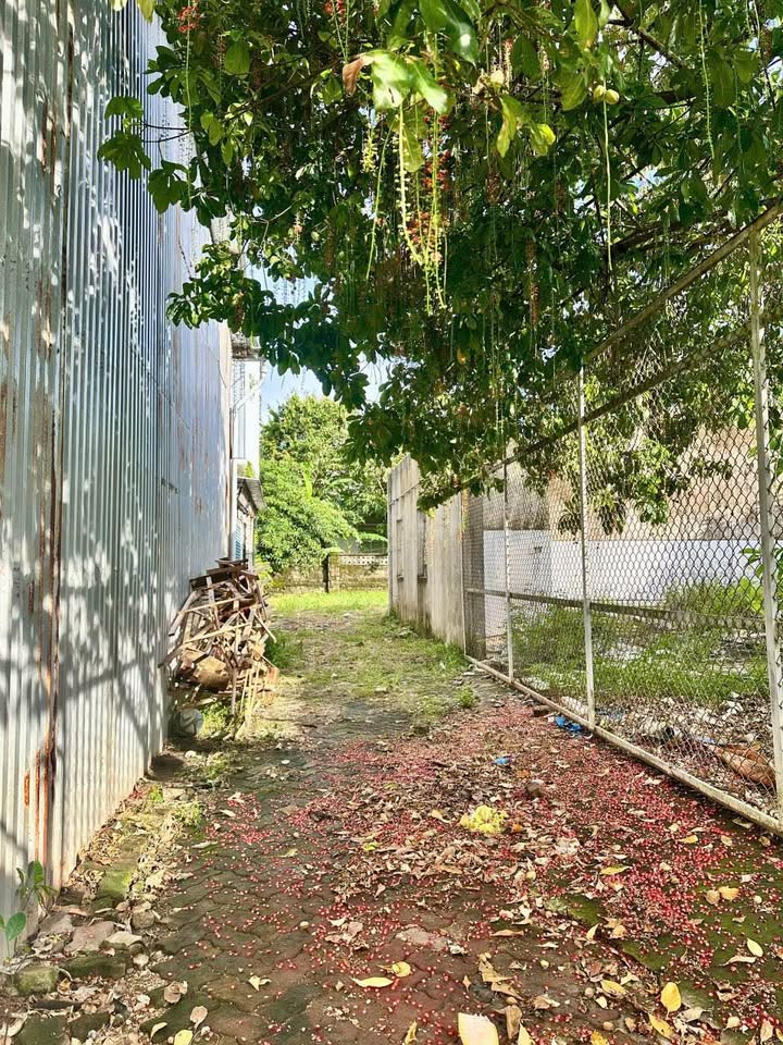 Đất nền đường Nguyễn Tất Thành, Phú Bài 288m² giá 3.168 tỷ - Đầu tư sinh lời ngay!