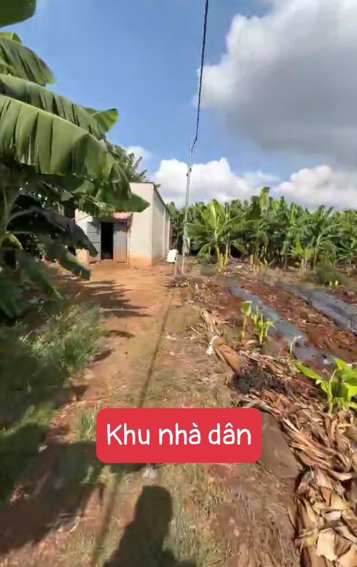 Đất nền 1266m² xã Bàu Hàm, Trảng Bom - Giá chỉ 1.09 tỷ, vị trí đẹp!