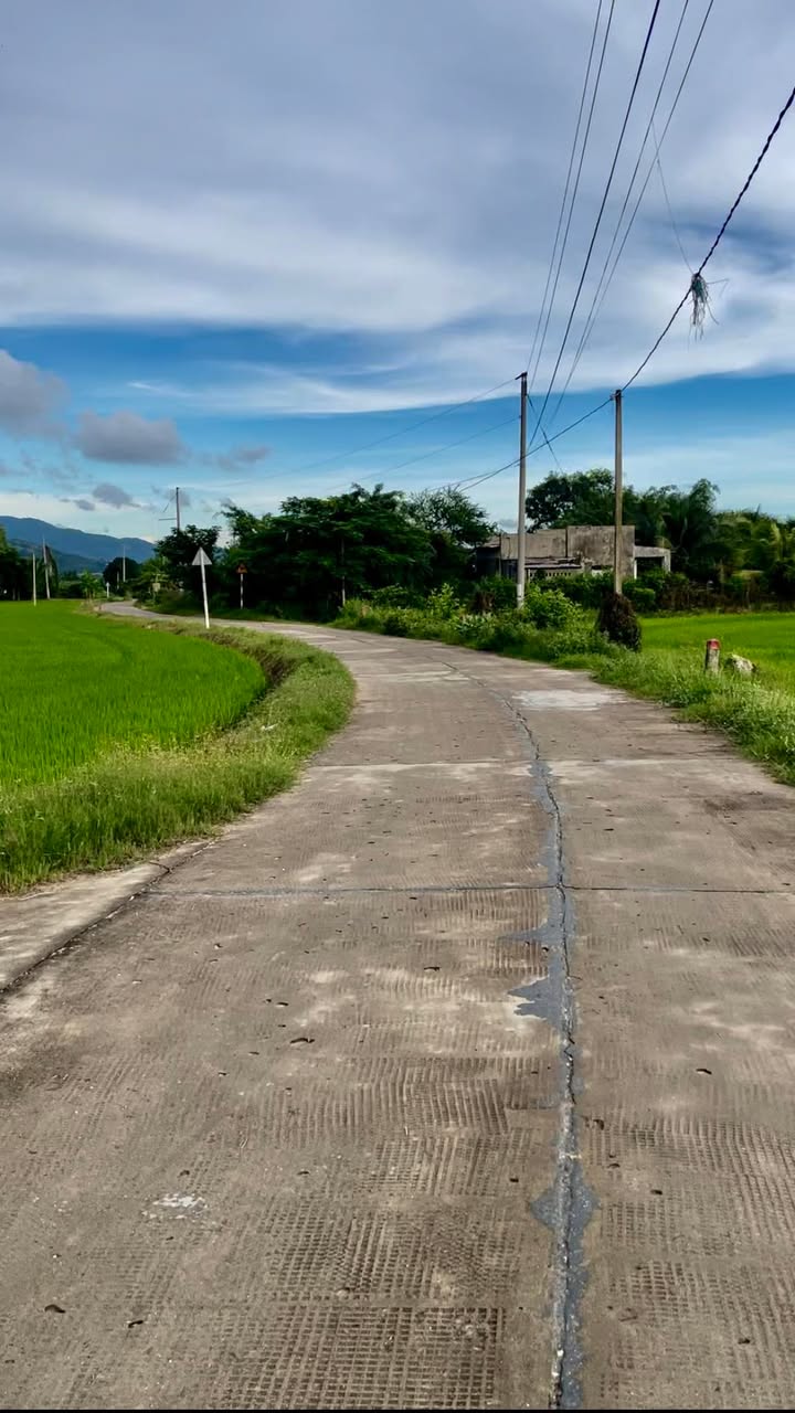 Đất nền Phan Điền Bắc Bình 720m² giá 300 triệu - Đầu tư lý tưởng!